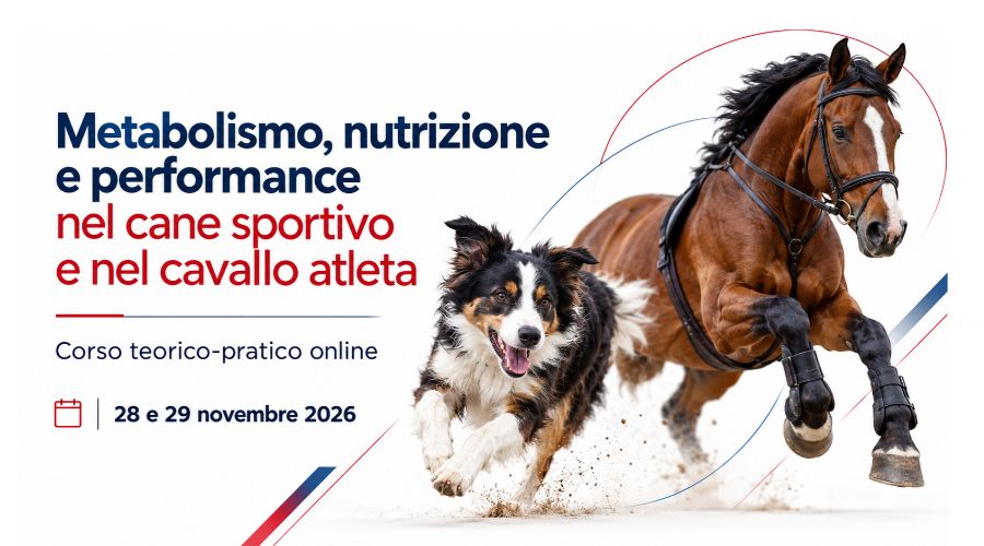 Nutrizione e performance nel cane e nel cavallo