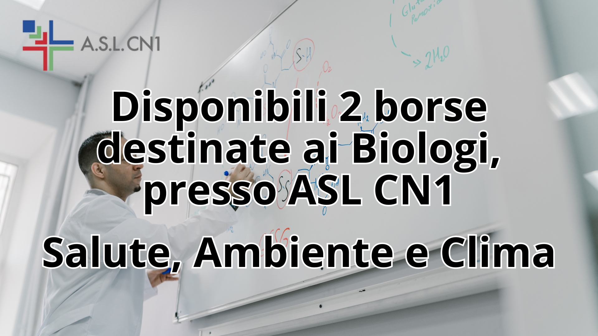 Clicca per accedere all'articolo Opportunità per i Biologi nell'ambito di Salute, Ambiente e Clima presso l’ASL CN1: 2 borse disponibili