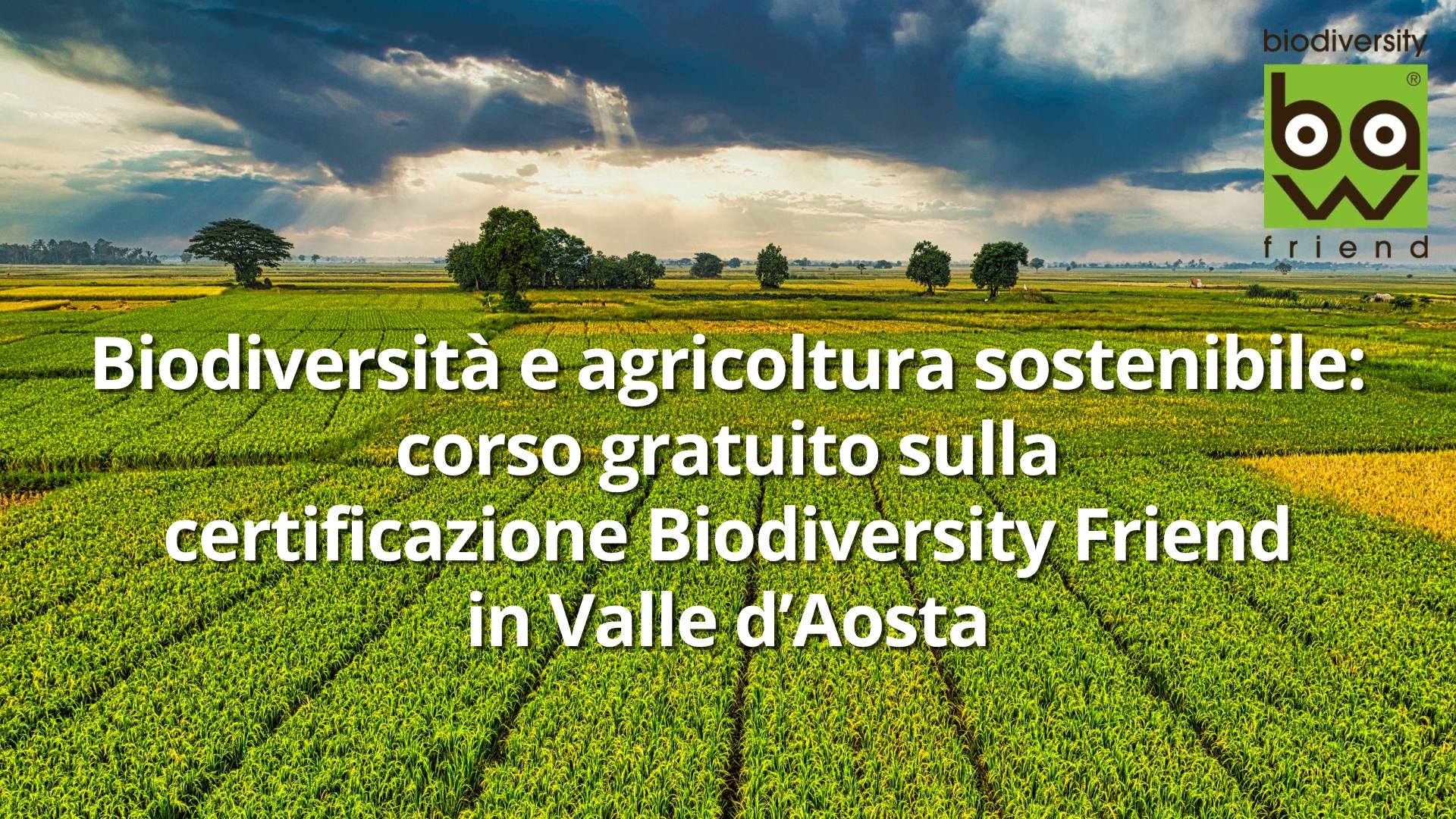 Clicca per accedere all'articolo Biodiversità e agricoltura sostenibile: il corso gratuito sulla certificazione Biodiversity Friend in Valle d’Aosta
