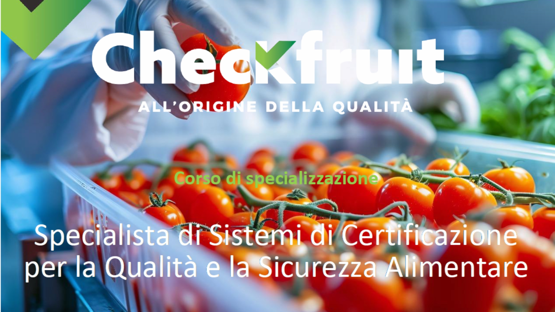 Clicca per accedere all'articolo Corso per Specialista di Sistemi di Certificazione per la Qualità e la Sicurezza Alimentare: un’opportunità formativa per i Biologi e i professionisti del settore agroalimentare