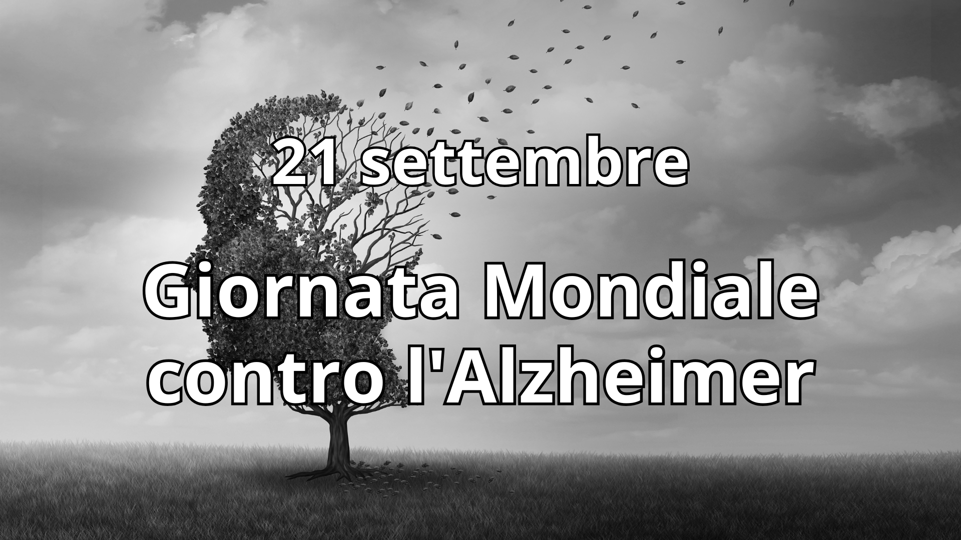 Clicca per accedere all'articolo Giornata Mondiale contro l'Alzheimer