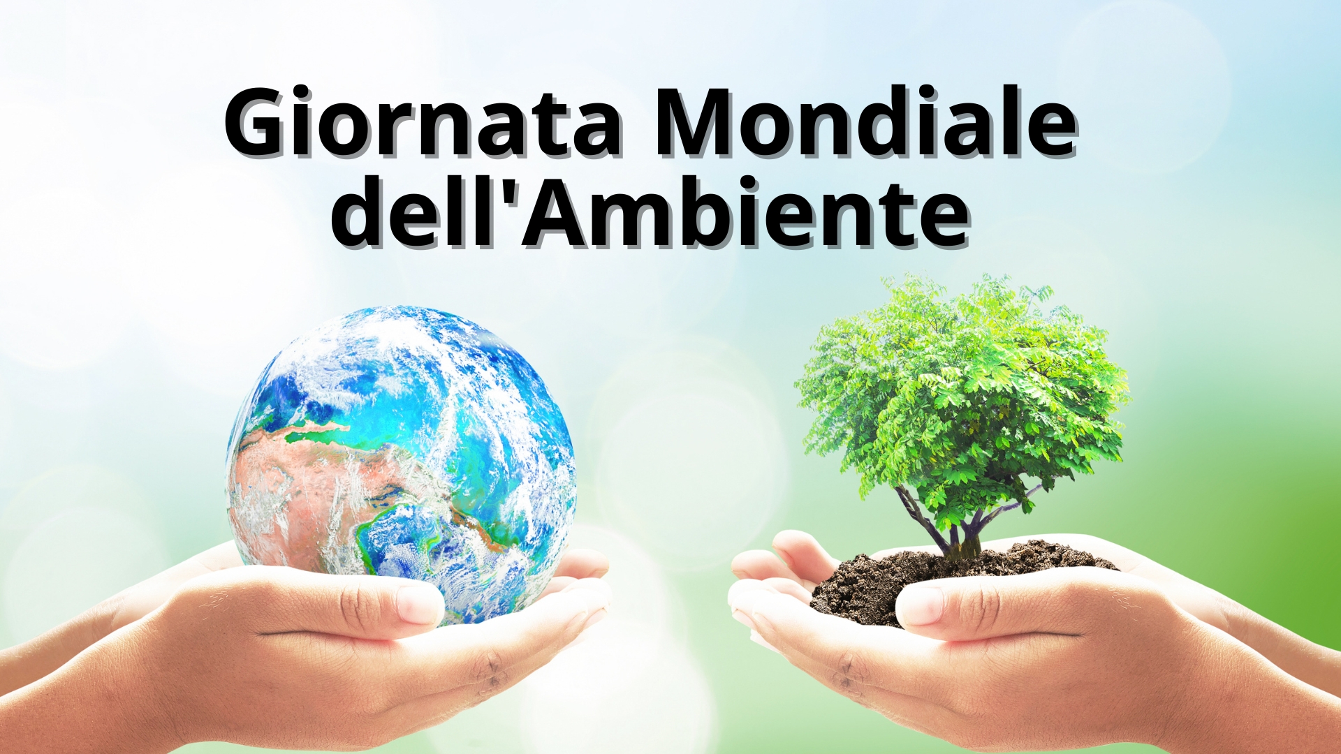 Clicca per accedere all'articolo 5 giugno: Giornata Mondiale dell'Ambiente