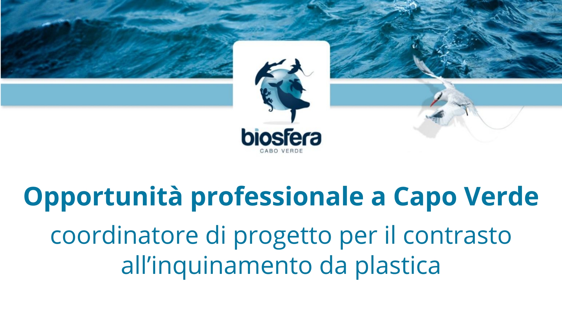 Clicca per accedere all'articolo Bando per posizione a Capo Verde: coordinatore del progetto “Isole Senza Plastica”