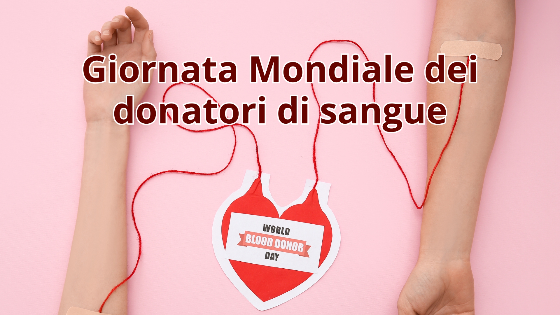 Clicca per accedere all'articolo Giornata Mondiale del Donatore di Sangue